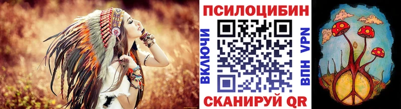 KRAKEN ТОР  сколько стоит  Купино  Псилоцибиновые грибы ЛСД 