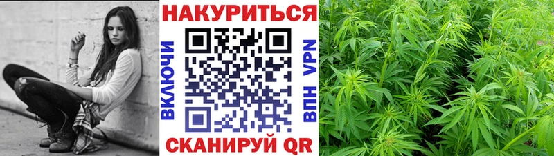 Бошки Шишки марихуана  Купино 